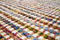 Sienna 310 Multi 160cm x 230cm