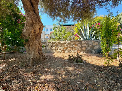 Strandvilla mit Meeresblick in Gümüşlük, in Bodrum