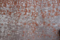 Sunny 310 Beige / Rost 120cm x 170cm