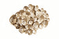 Wanddeko Domizil 225 Gold