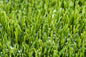 Grass 110 Grün Ø 160cm RUND