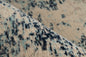 Charu 325 Blau 80cm x 150cm