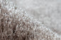 Soul 8120 Silbergrau 170cm x 240cm